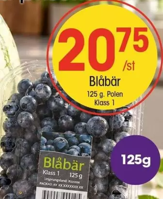 Blåbär