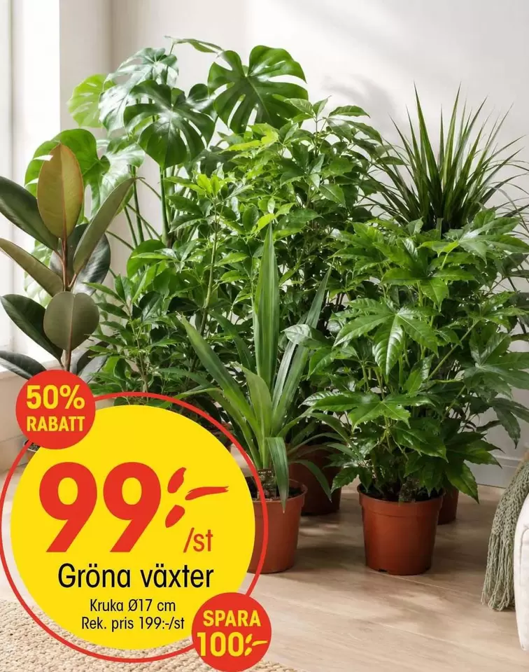 Gröna växter
