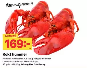 Kokt hummer