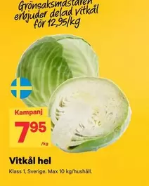 Vitkål hel