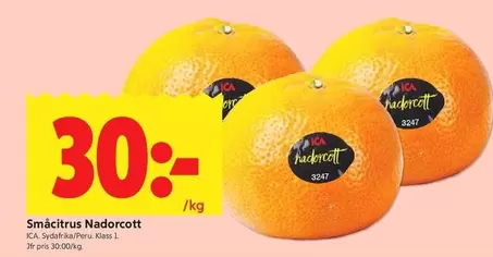 Småcitrus Nadorcott