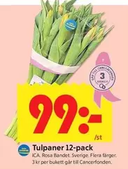 Tulpaner 12-pack