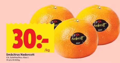 Småcitrus Nadorcott