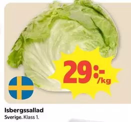 Isbergssallad