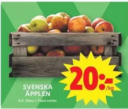 SVENSKA ÄPPELN