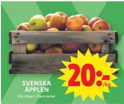 SVENSKA ÄPPELN
