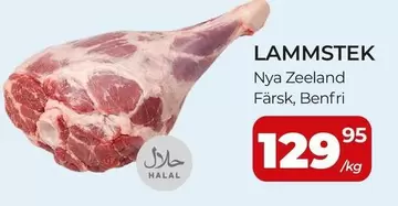 LAMMSTEK