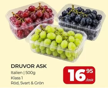 DRUVOR ASK
