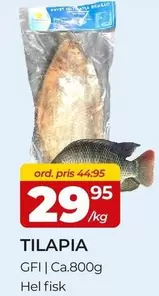 TILAPIA