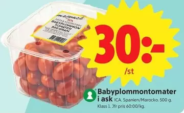 Babyplommontomater