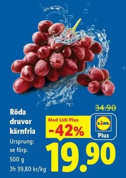 Röda druvor kärnfria