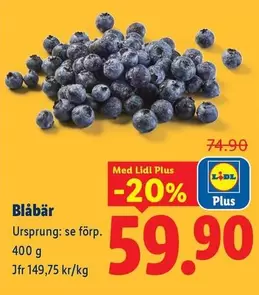 Blåbär
