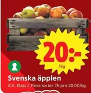 Svenska äpplen