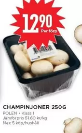CHAMPINJONER