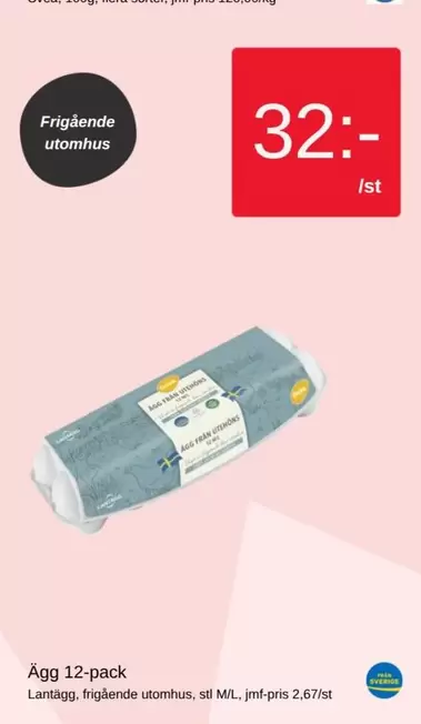 Ägg 12-pack