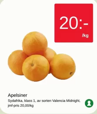 Apelsiner