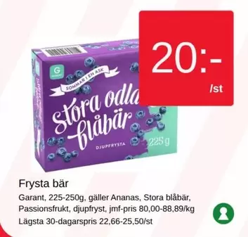 Garant - Stora odla blåbär