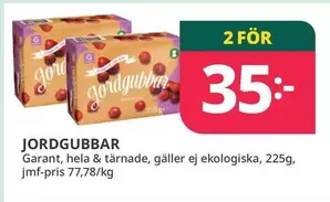 Garant - Jordgubbar