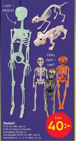 Skellett
