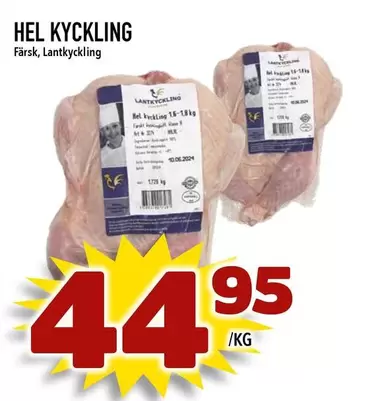 HEL KYCKLING
