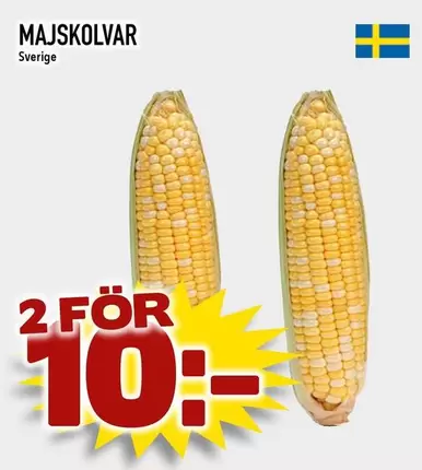 MAJSKOLVAR