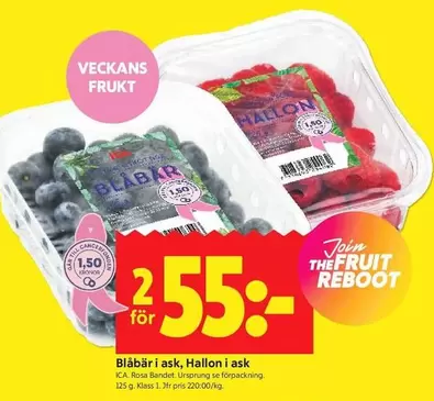 Blåbär i ask, Hallon i ask