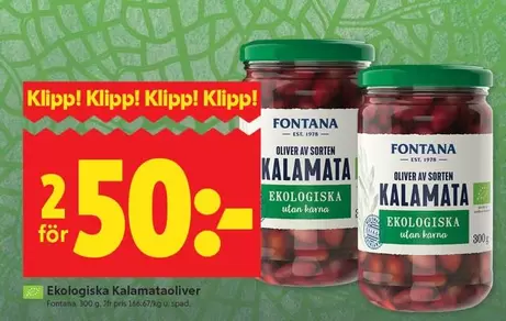 Fontana - Kalamata oliver
