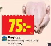 Ungtupp