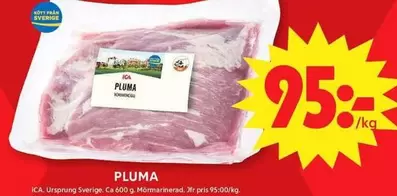 PLUMA