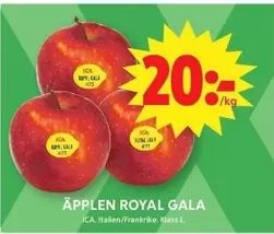 Äpplen ROYAL GALA