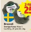 Broccoli