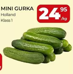 MINI GURKA