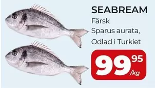 SEABREAM