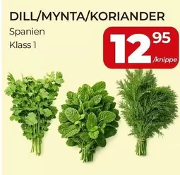 DILL/MYNTA/KORIANDER