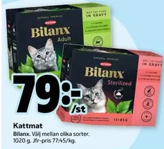 Kattmat