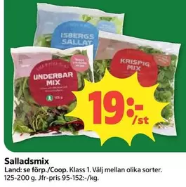 Salladsmix