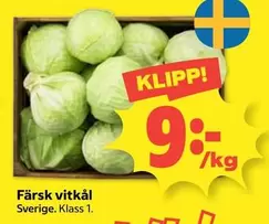 Färsk vitkål