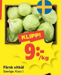Färsk vitkål