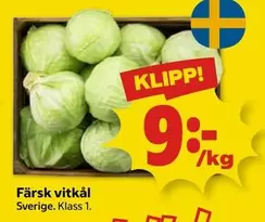 Färsk vitkål