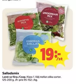 Salad mix