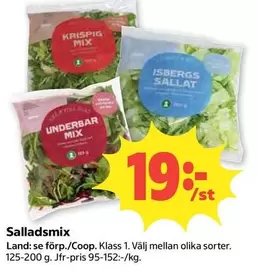 Saladsmix