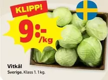Vitkål