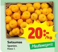 Satsumas