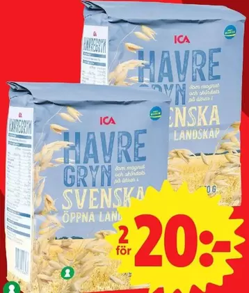 HAVRE GRYN SVENSKA