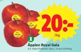 Äpplen Royal Gala