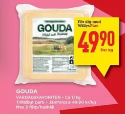 Gouda