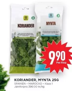 Koriander, Mynta