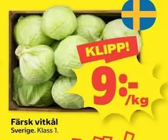 Färsk vitkål