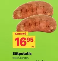 Sötpotatis