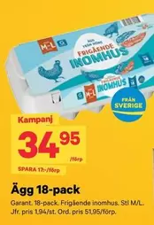 Garant - Ägg 18-pack